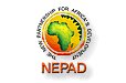Logo NEPAD