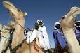Animations traditionnelles au stade municipal de Tahoua