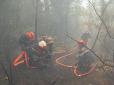 Feu de forêt à Draguignan - été 2003