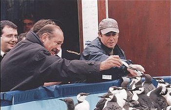 Illustration : Visite du centre de traitement des oiseaux victimes de la marée noire. Theix - Morbihan - janvier 2000