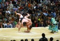 Photo 15 : Tournoi de Sumo au stade prefectoral d'Osaka.