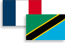 Logo drapeau France-Tanzanie