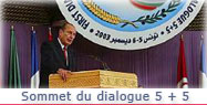 Discours du Président de la République lors du Sommet des chefs d'Etat et de gouvernement de la Méditerranée occidentale 