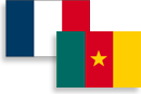 Drapeau France / Cameroun